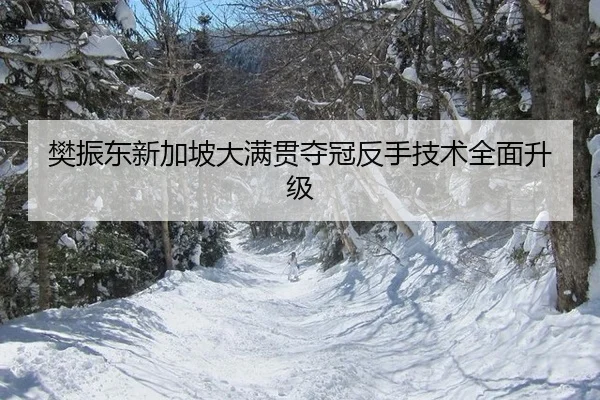 樊振东新加坡大满贯夺冠反手技术全面升级