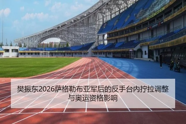 樊振东2026萨格勒布亚军后的反手台内拧拉调整与奥运资格影响