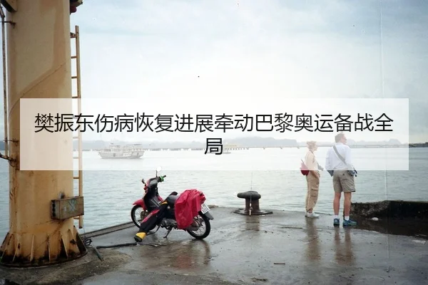 樊振东伤病恢复进展牵动巴黎奥运备战全局